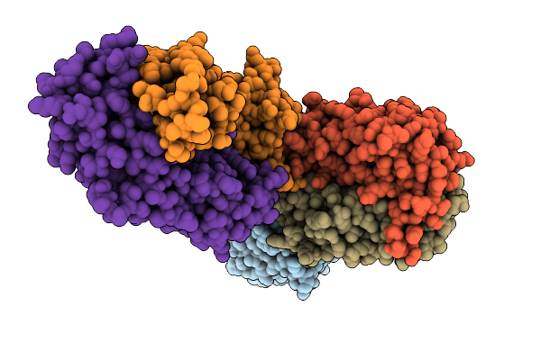 9C24 image