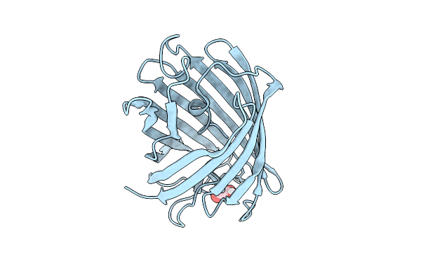 9C25 image