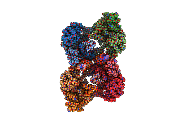 9C29 image