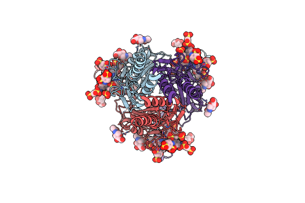9C2C image