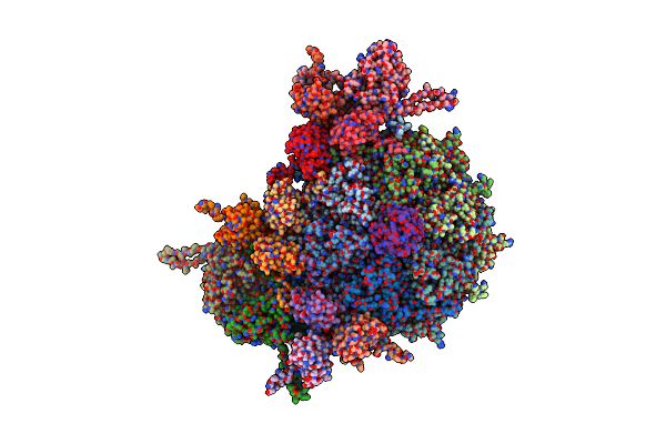 9C2D image