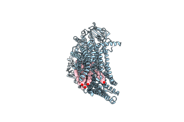 9C2I image