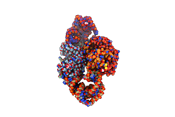 9C2K image