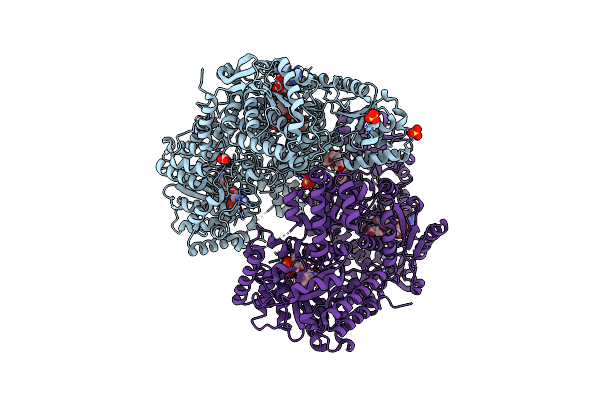 9C36 image