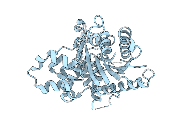 9C37 image
