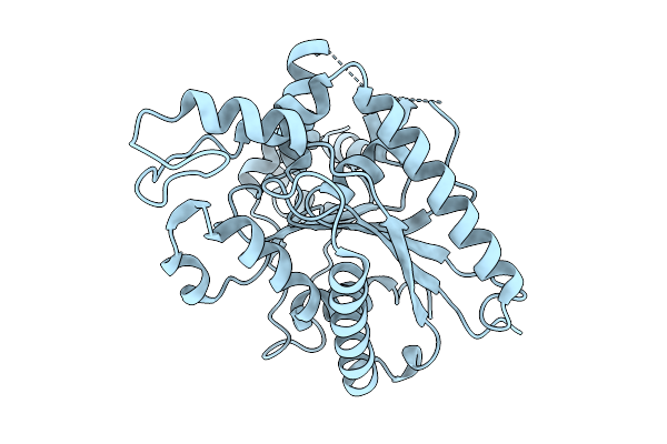 9C38 image
