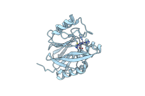 9C3D image
