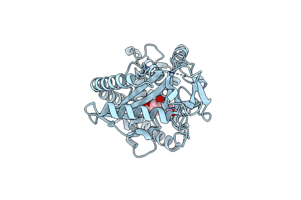 9C3G image