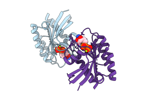 9C3K image