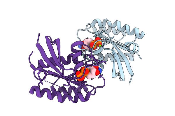 9C3R image