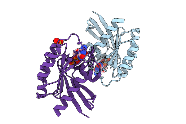 9C3V image