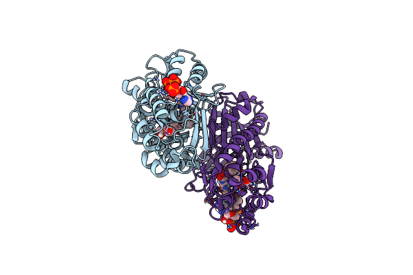 9C3W image