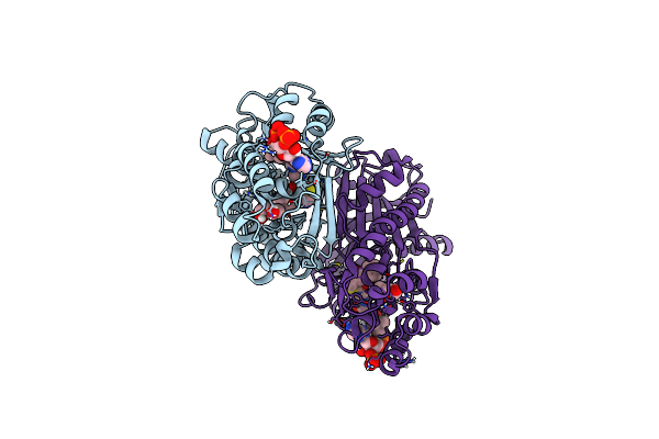 9C3Y image