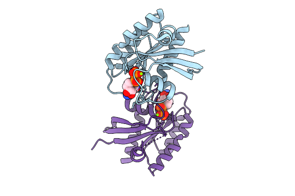 9C40 image