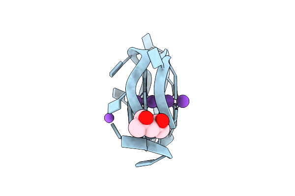 9C46 image