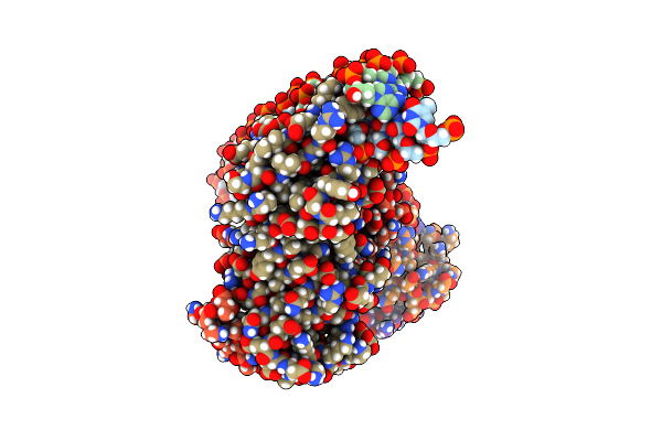 9C4C image