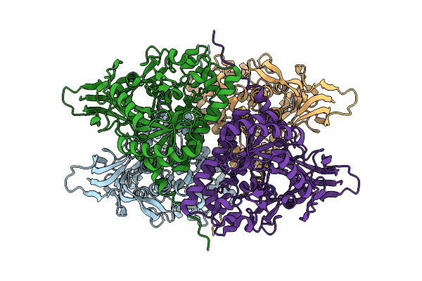 9C4E image