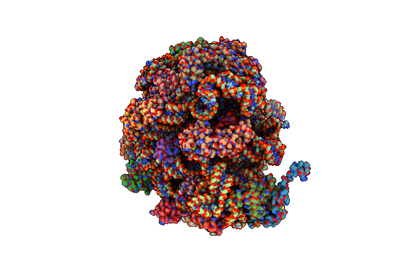 9C4G image