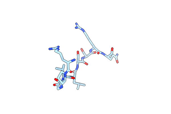 9C4N image