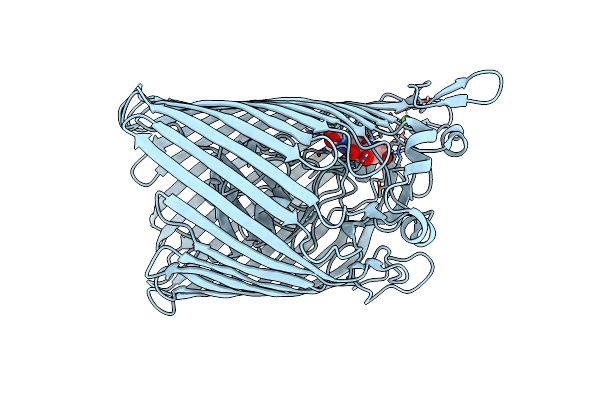 9C4O image
