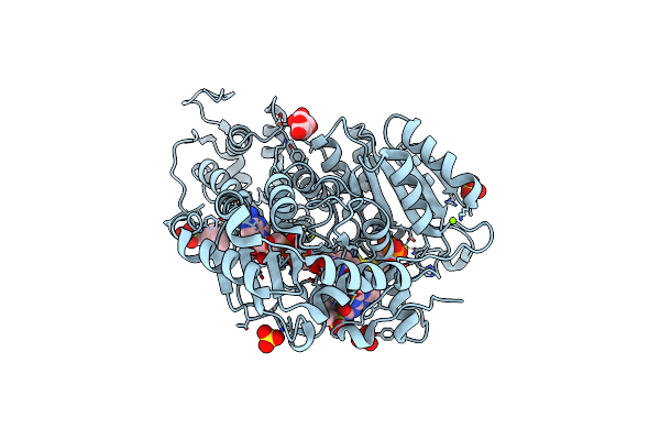 9C4P image
