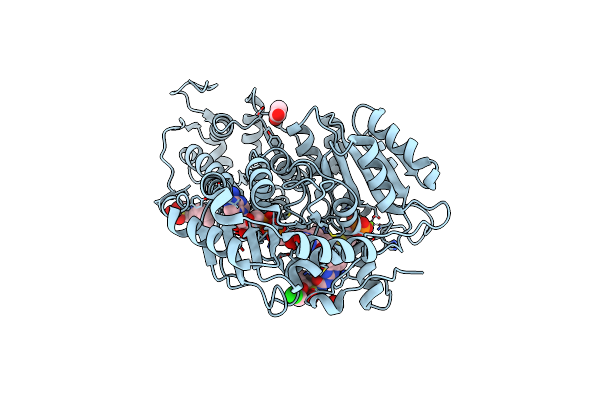 9C4R image