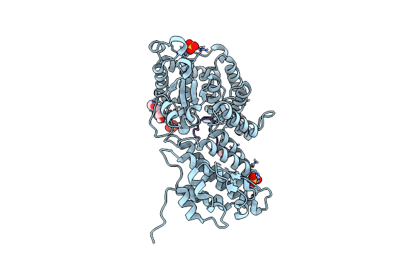 9C4S image