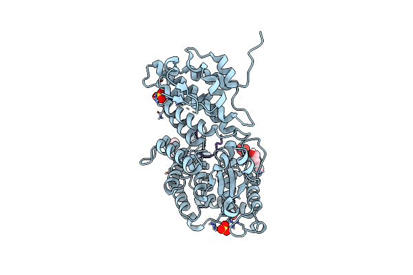 9C4V image