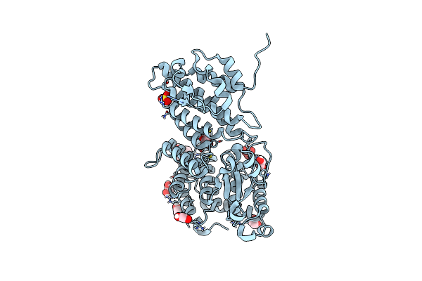 9C4W image