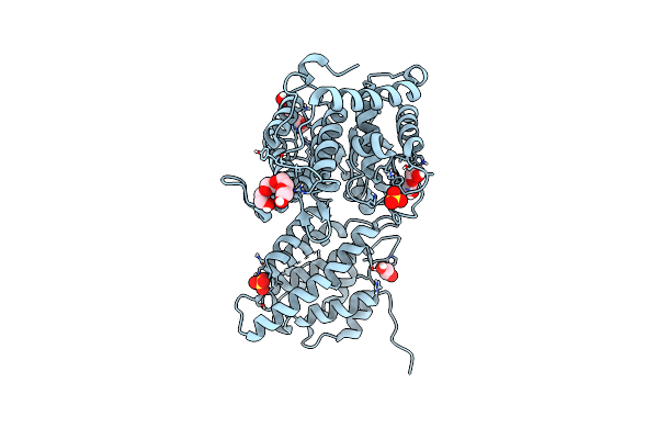 9C4Z image