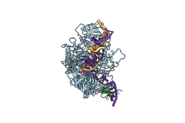 9C51 image