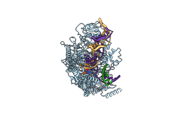 9C52 image