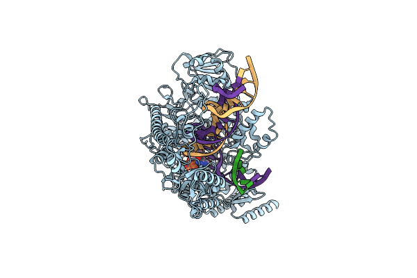 9C53 image