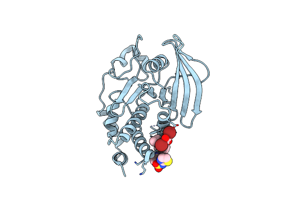 9C56 image