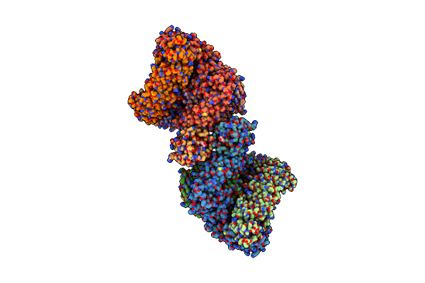 9C59 image