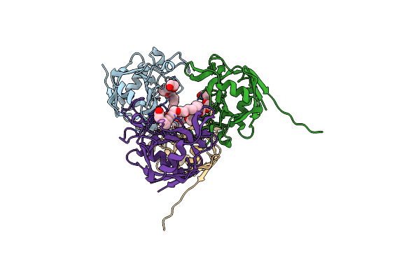 9C5D image