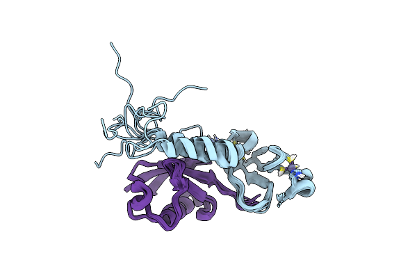 9C5E image