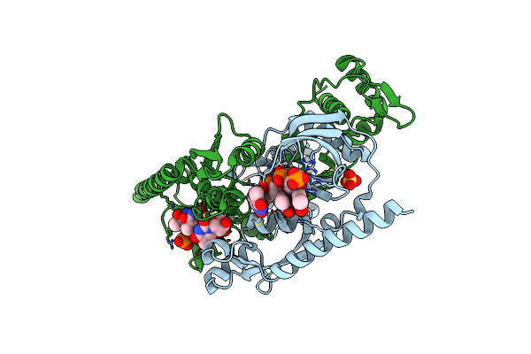 9C5G image