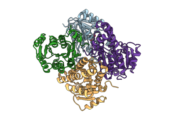 9C5I image