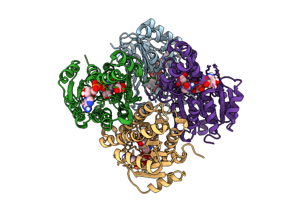 9C5L image