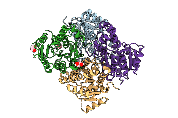 9C5O image