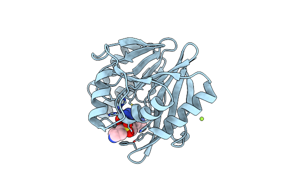 9C5P image