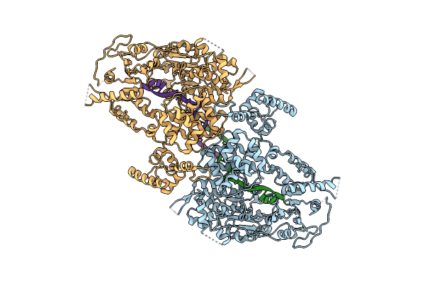 9C5Q image