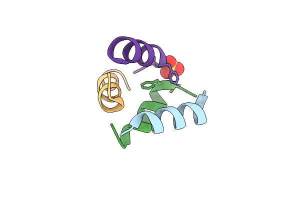 9C5S image