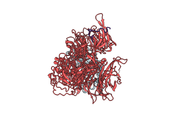 9C5U image