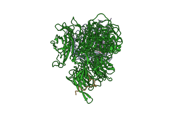 9C5V image