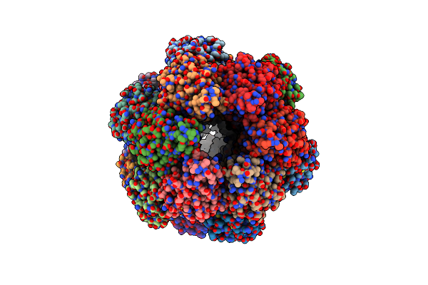 9C5X image
