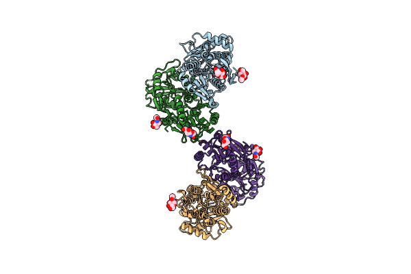 9C5Y image