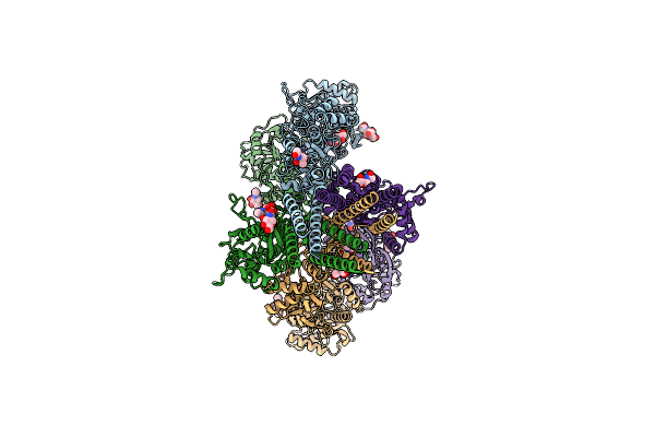 9C60 image