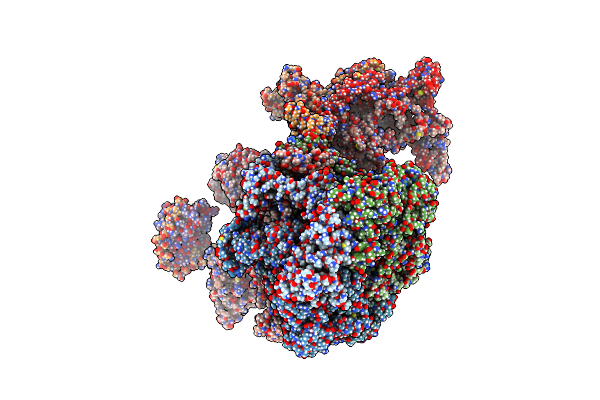 9C62 image